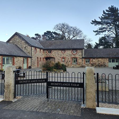 Villa The View At Moneylands Arklow Exterior foto